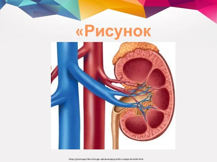 «Рисунок друга» https://promoipochki.ru/drugie-zabolevaniya/pochki-i-nadpochechniki.html