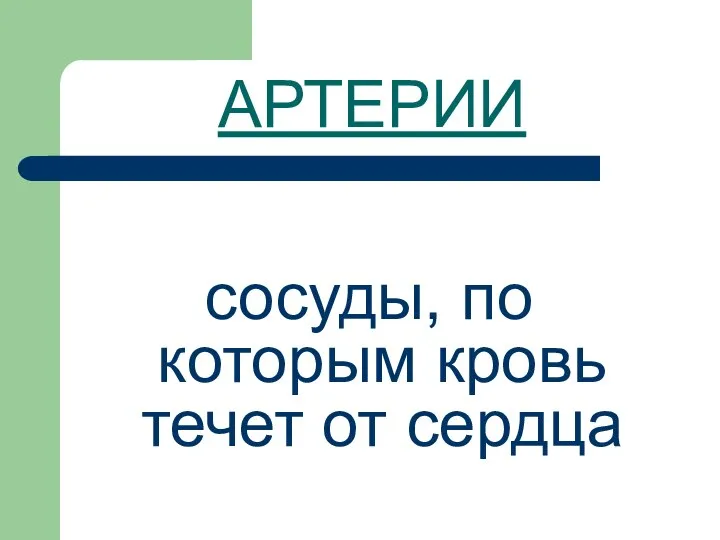 АРТЕРИИ сосуды, по которым кровь течет от сердца