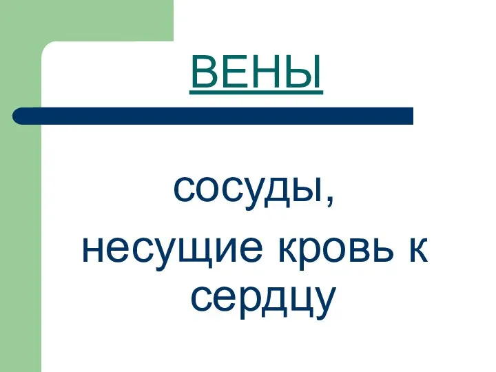 ВЕНЫ сосуды, несущие кровь к сердцу