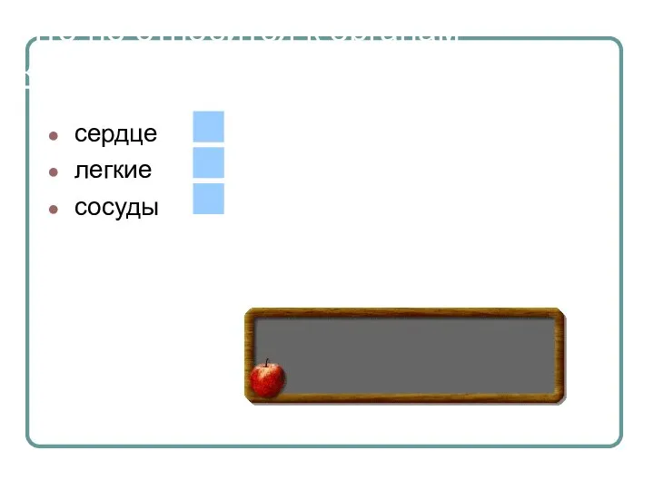 Что не относится к органам кровообращения? сердце легкие сосуды