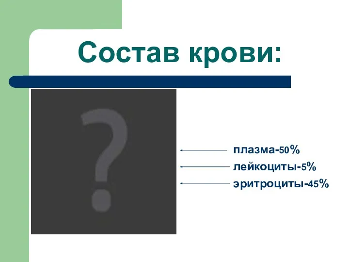 Состав крови: плазма-50% лейкоциты-5% эритроциты-45%