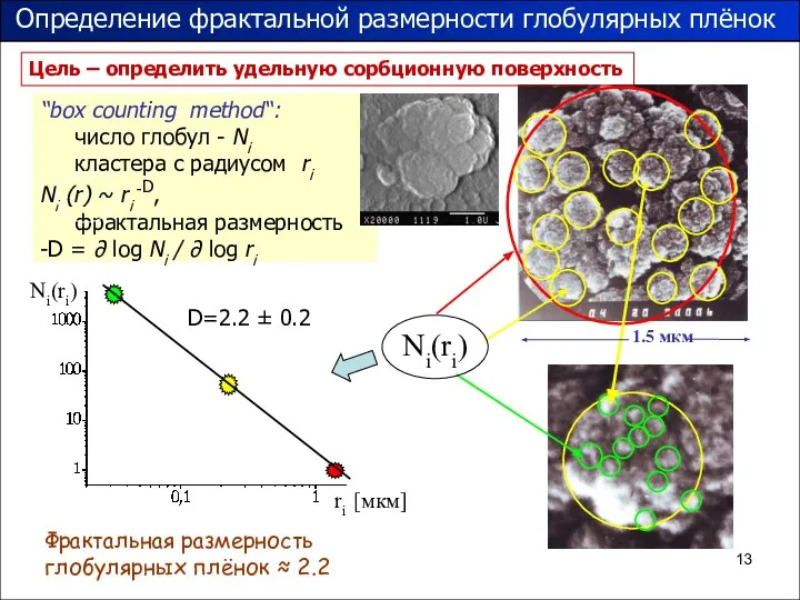 “box counting method“: число глобул - Ni кластера с радиусом ri Ni