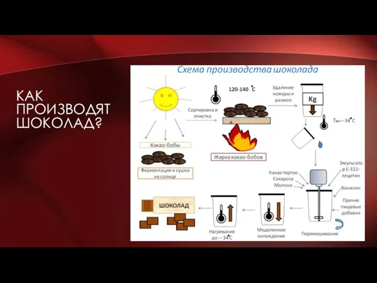 КАК ПРОИЗВОДЯТ ШОКОЛАД?