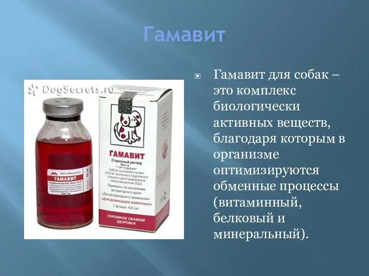 Гамавит Гамавит для собак – это комплекс биологически активных веществ, благодаря которым