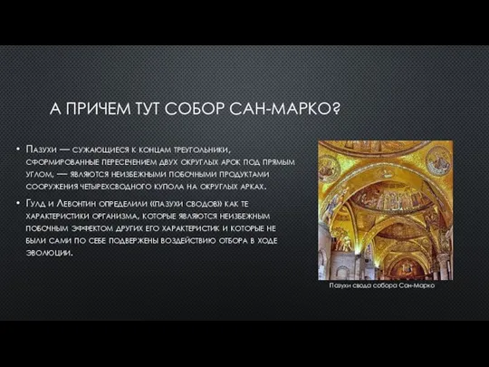 А ПРИЧЕМ ТУТ СОБОР САН-МАРКО? Пазухи — сужающиеся к концам треугольники, сформированные