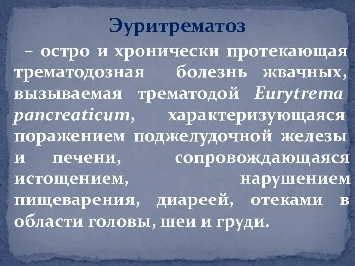 Эуритрематоз – остро и хронически протекающая трематодозная болезнь жвачных, вызываемая трематодой Eurytrema