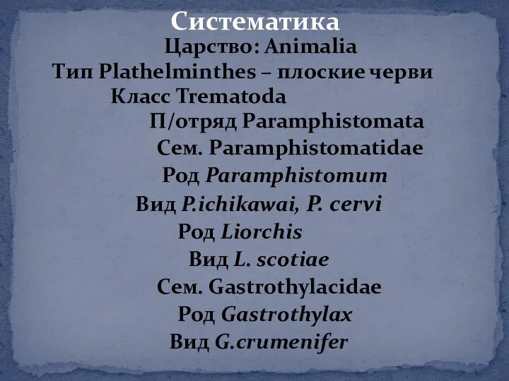 Царство: Animalia Тип Plathelminthes – плоские черви Класс Trematoda П/отряд Paramphistomata Сем.