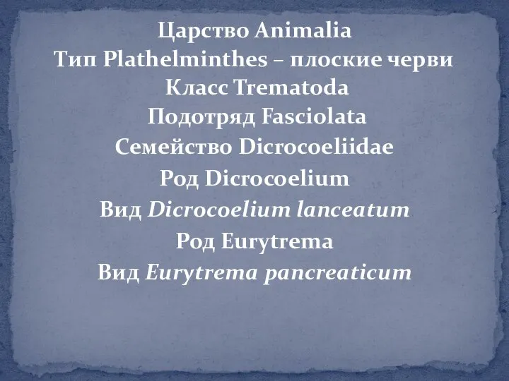 Царство Animalia Тип Plathelminthes – плоские черви Класс Trematoda Подотряд Fasciolata Семейство