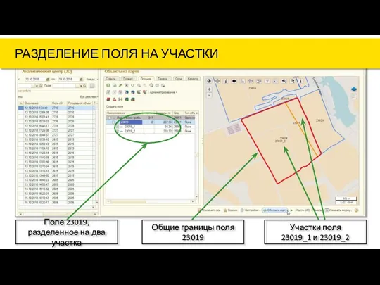 Поле 23019, разделенное на два участка Общие границы поля 23019 Участки поля