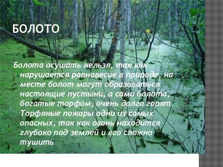 БОЛОТО Болота осушать нельзя, так как нарушается равновесие в природе, на месте