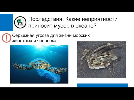 Последствия. Какие неприятности приносит мусор в океане? Серьезная угроза для жизни морских животных и человека.