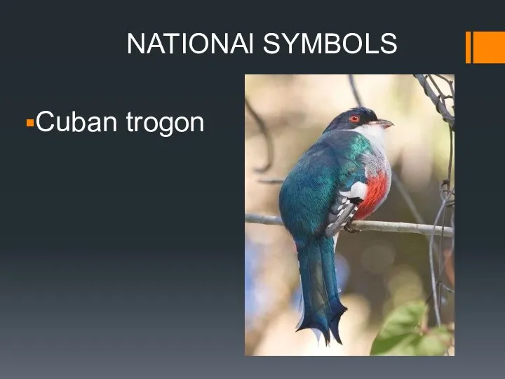 NATIONAl SYMBOLS Cuban trogon