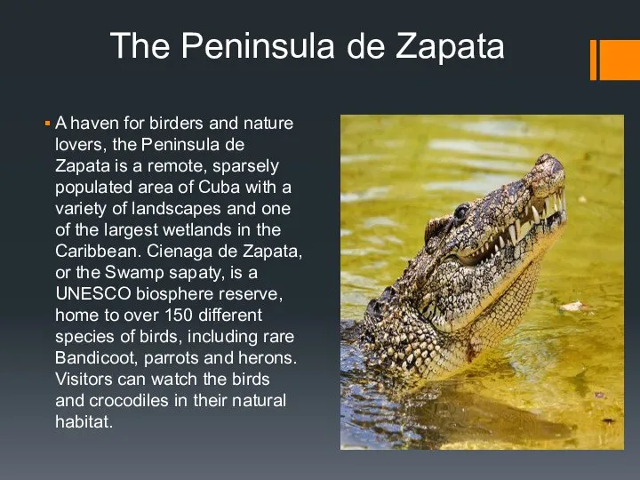 The Peninsula de Zapata A haven for birders and nature lovers, the