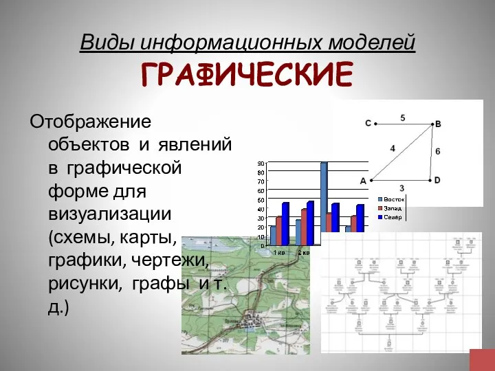 Виды информационных моделей ГРАФИЧЕСКИЕ Отображение объектов и явлений в графической форме для