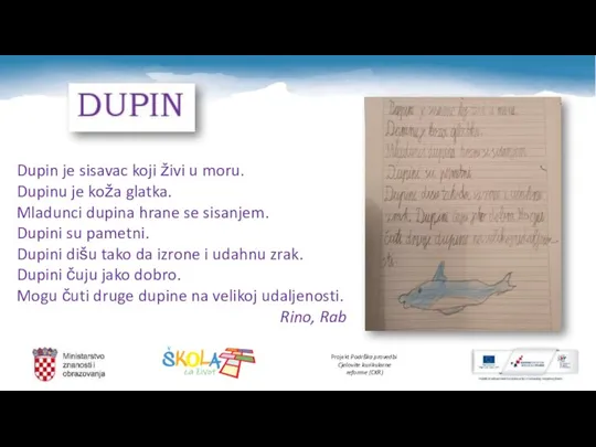 Dupin je sisavac koji živi u moru. Dupinu je koža glatka. Mladunci