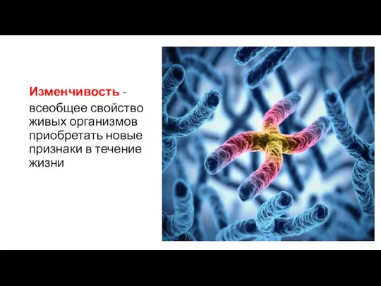 Изменчивость - всеобщее свойство живых организмов приобретать новые признаки в течение жизни