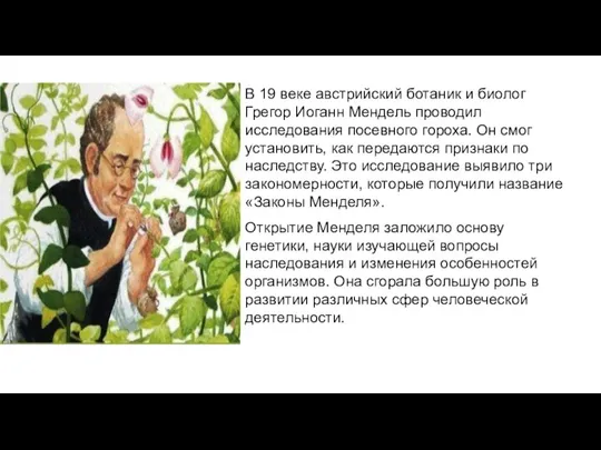 В 19 веке австрийский ботаник и биолог Грегор Иоганн Мендель проводил исследования