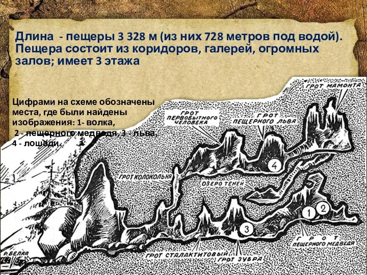 Цифрами на схеме обозначены места, где были найдены изображения: 1- волка, 2