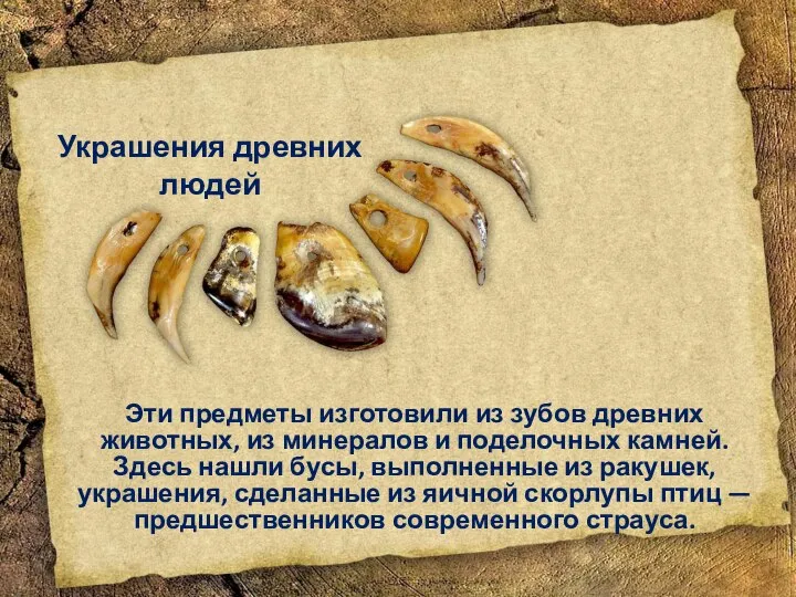 Эти предметы изготовили из зубов древних животных, из минералов и поделочных камней.