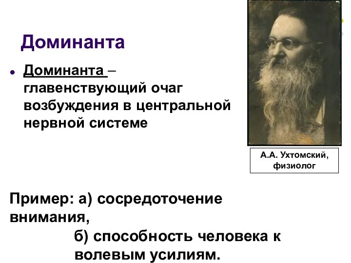 Доминанта Доминанта – главенствующий очаг возбуждения в центральной нервной системе Пример: а)