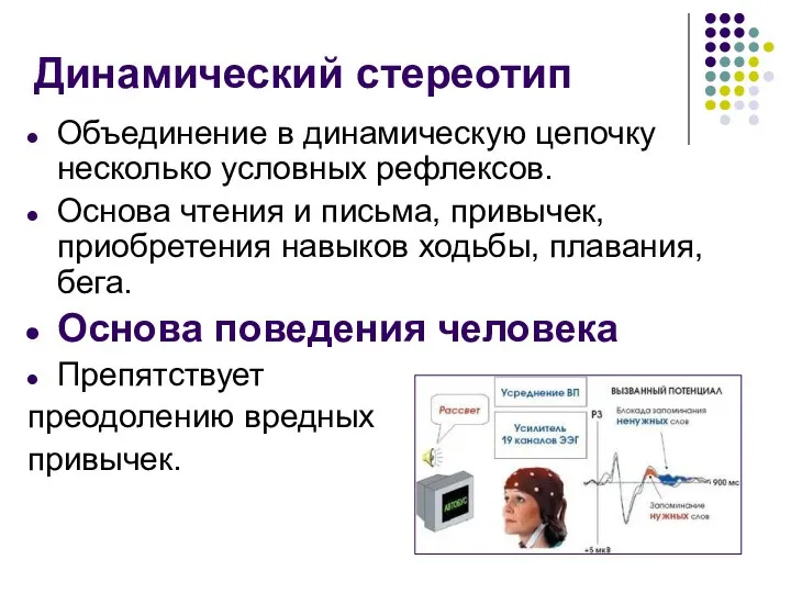 Динамический стереотип Объединение в динамическую цепочку несколько условных рефлексов. Основа чтения и