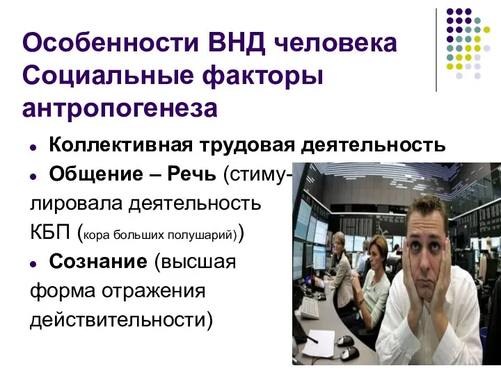 Особенности ВНД человека Социальные факторы антропогенеза Коллективная трудовая деятельность Общение – Речь