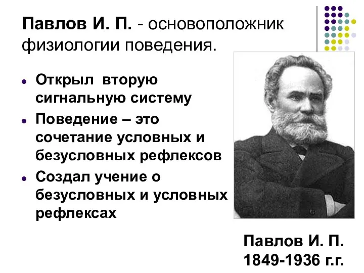 Павлов И. П. - основоположник физиологии поведения. Павлов И. П. 1849-1936 г.г.