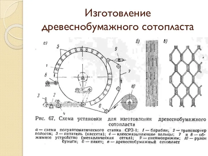 Изготовление древеснобумажного сотопласта