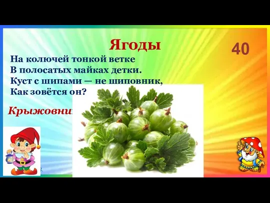 Ягоды 40 Крыжовник На колючей тонкой ветке В полосатых майках детки. Куст