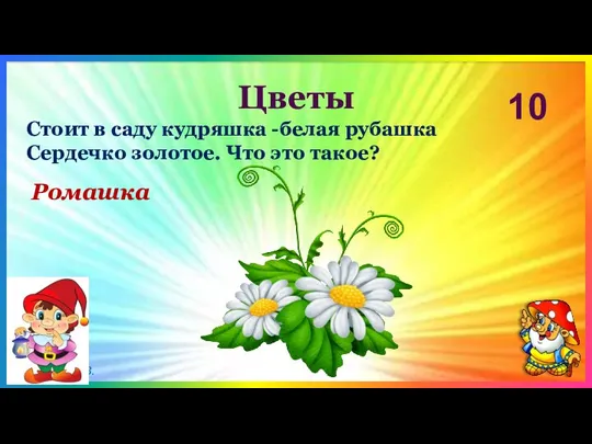 Цветы 10 Ромашка Стоит в саду кудряшка -белая рубашка Сердечко золотое. Что это такое?