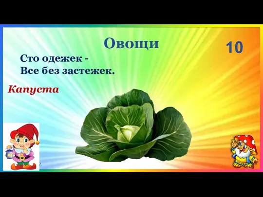 Овощи Капуста 10 Сто одежек - Все без застежек.