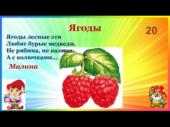 Ягоды 20 Малина Ягоды лесные эти Любят бурые медведи. Не рябина, не калина, А с колючками...