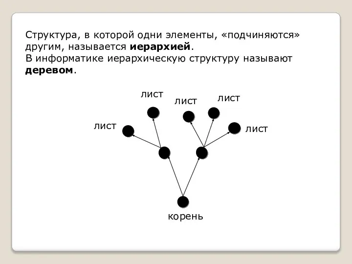 Структура, в которой одни элементы, «подчиняются» другим, называется иерархией. В информатике иерархическую структуру называют деревом.