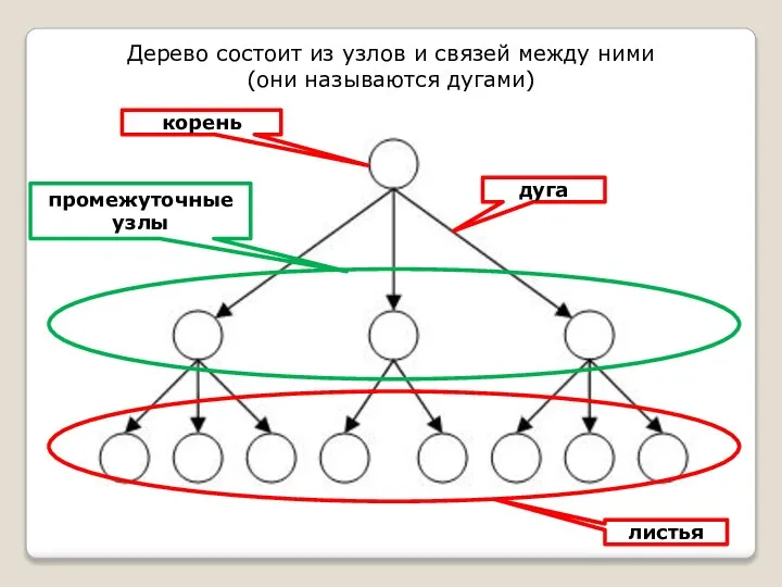 Дерево состоит из узлов и связей между ними (они называются дугами) дуга корень листья промежуточные узлы