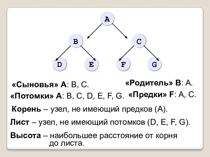 «Сыновья» А: B, C. «Родитель» B: A. «Потомки» А: B, C, D,