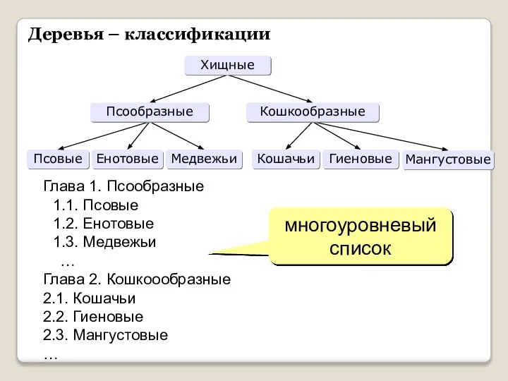 Деревья – классификации Глава 1. Псообразные 1.1. Псовые 1.2. Енотовые 1.3. Медвежьи