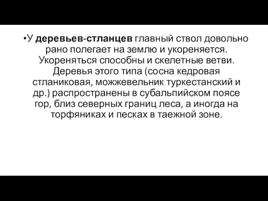 У деревьев-стланцев главный ствол довольно рано полегает на землю и укореняется. Укореняться