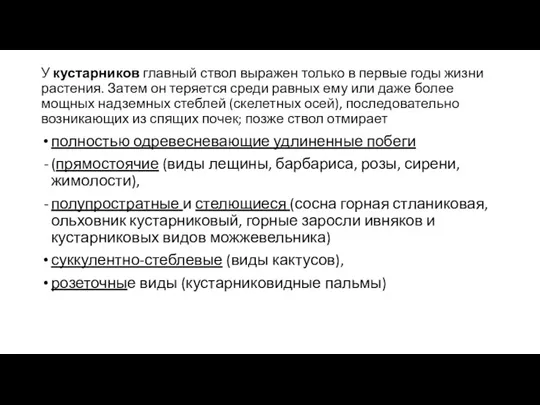 У кустарников главный ствол выражен только в первые годы жизни растения. Затем