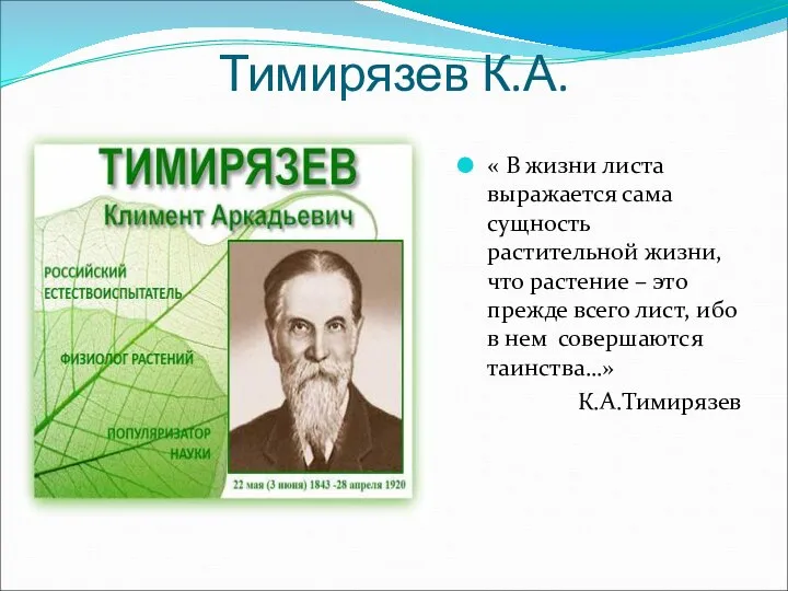 Тимирязев К.А. « В жизни листа выражается сама сущность растительной жизни, что