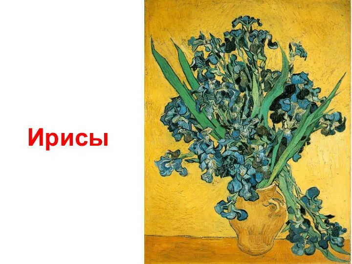 Ирисы