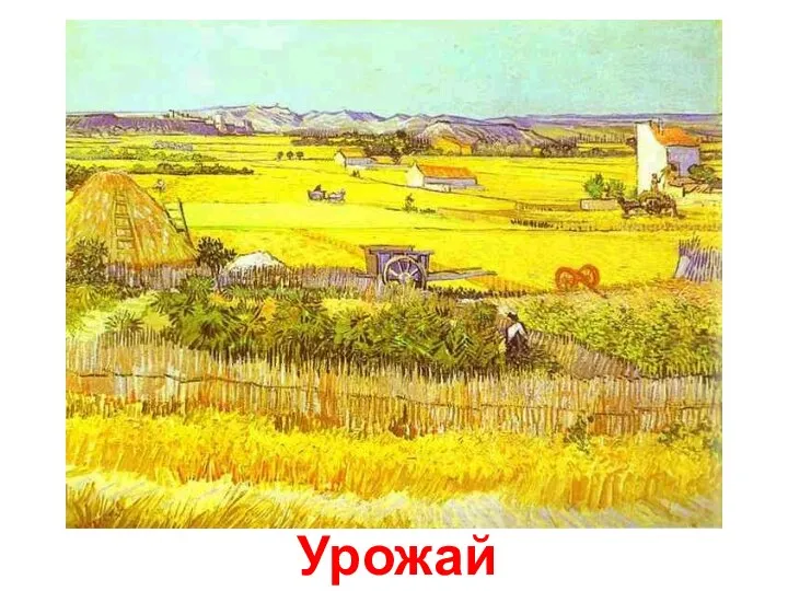 Урожай