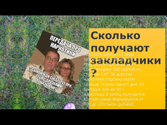 Сколько получают закладчики? Зарплата зависит от вида запрещенного вещества и преступной организации.