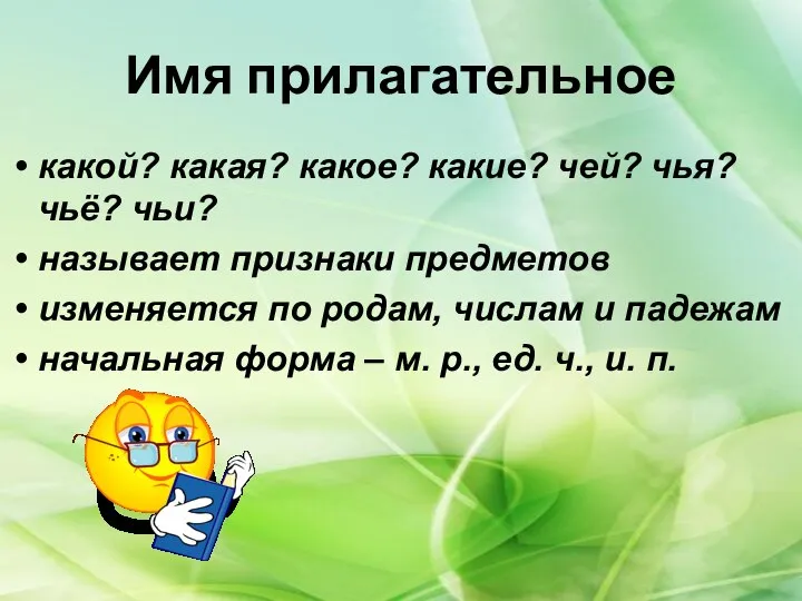 Имя прилагательное какой? какая? какое? какие? чей? чья? чьё? чьи? называет признаки