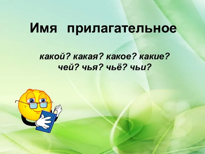 какой? какая? какое? какие? чей? чья? чьё? чьи? Имя прилагательное