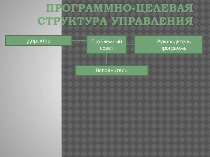 ПРОГРАММНО-ЦЕЛЕВАЯ СТРУКТУРА УПРАВЛЕНИЯ Директор Проблемный совет Руководитель программы Исполнители