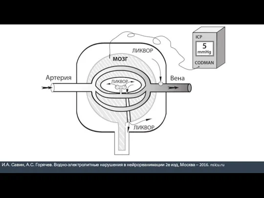И.А. Савин, А.С. Горячев. Водно-электролитные нарушения в нейрореанимации 2е изд, Москва – 2016. nsicu.ru