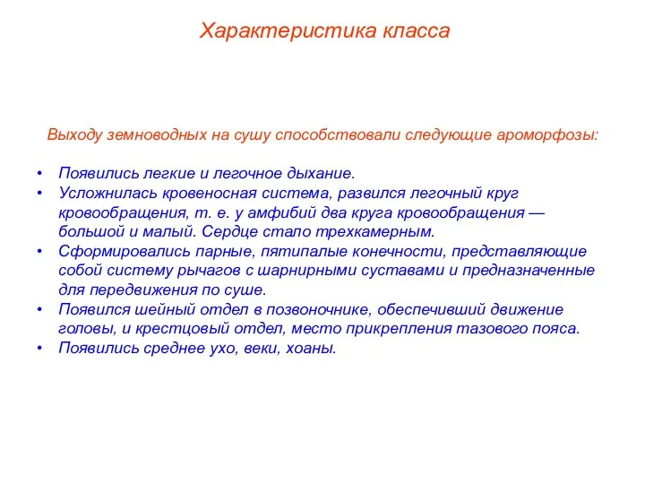 Характеристика класса Выходу земноводных на сушу способствовали следующие ароморфозы: Появились легкие и