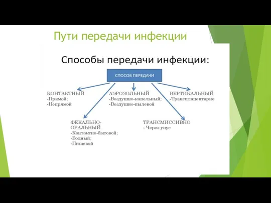 Пути передачи инфекции