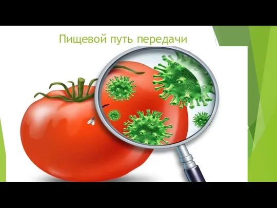 Пищевой путь передачи Пищевой путь – заражение происходит при употреблении пищи, обсемененной