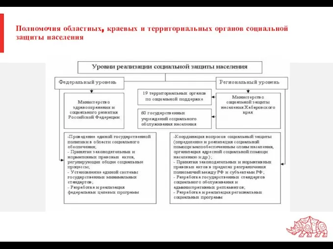 Полномочия областных, краевых и территориальных органов социальной защиты населения